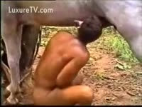 Guy deepthroat a horse's huge dick